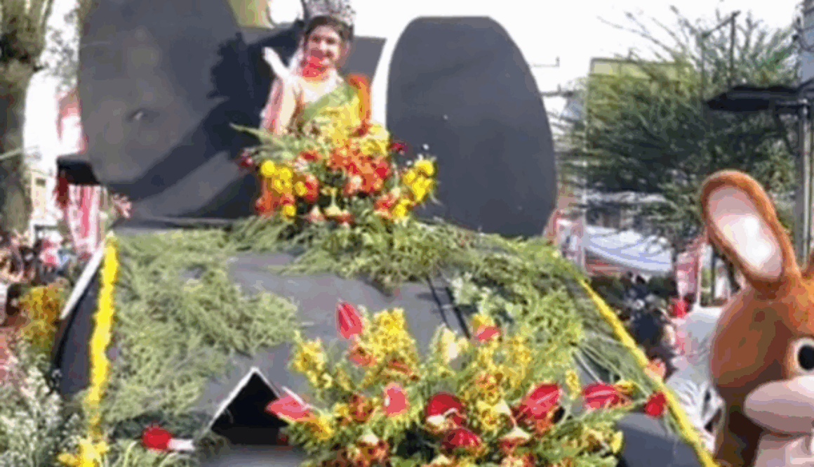 Pesta buah dan bunga karo, karisma event nusantara