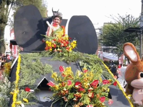 Pesta buah dan bunga karo, karisma event nusantara